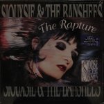 Siouxsie & The Banshees - The Rapture