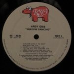 Andy Gibb - Shadow Dancing