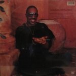 Stevie Wonder - In Square Circle