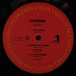 Joe Zawinul - Dialects