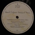 David Sylvian - Brilliant Trees