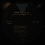 Lime Spiders - The Cave Comes Alive!