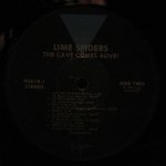 Lime Spiders - The Cave Comes Alive!