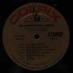 Nina Simone - The Amazing Nina Simone