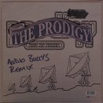 Prodigy - Voodoo People / Out Of Space