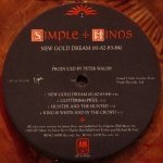 Simple Minds - New Gold Dream (81-82-83-84)