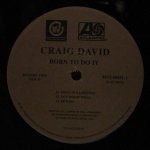 Craig David - Born To Do It