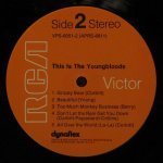Youngbloods - This Is The Youngbloods