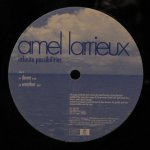 Amel Larrieux - Infinite Possibilities