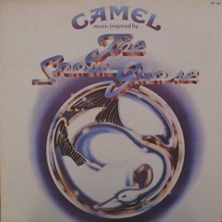 Camel