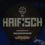 Rammstein - Haifisch
