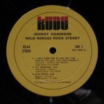 Johnny Hammond - Wild Horses Rock Steady