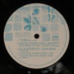Azymuth - Pieces Of Ipanema