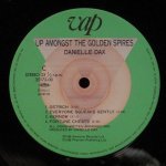 Danielle Dax - Up Amongst The Golden Spires