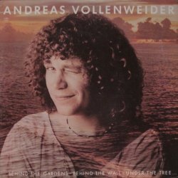 Andreas Vollenweider...
