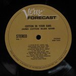 James Cotton Blues Band - Cotton In Your Ears