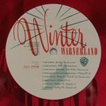 V/A - Winter Warnerland