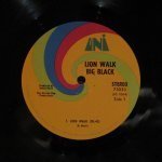 Big Black - Lion Walk