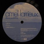 Amel Larrieux - Infinite Possibilities