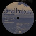 Amel Larrieux - Infinite Possibilities