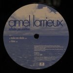 Amel Larrieux - Infinite Possibilities