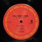 Weather Report - Domino Theory