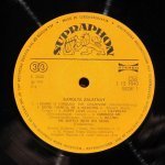 Sarolta Zalatnay - Sarolta Zalatnay