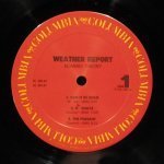 Weather Report - Domino Theory