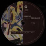 Brian Eno / Rick Holland - Panic Of Looking