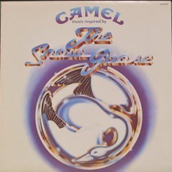 Camel