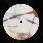 Tosca - Dehli9