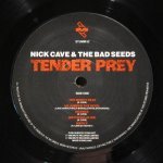 Nick Cave & The Bad Seeds - Tender Prey