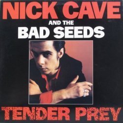 Nick Cave & The Bad ...
