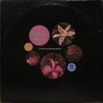 Sergio Mendes / Antonio Carlos Jobim / Bossa Rio / Tamba 4 / Walter Wanderley - Gentle Rain