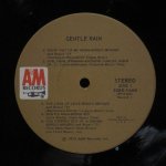 Sergio Mendes / Antonio Carlos Jobim / Bossa Rio / Tamba 4 / Walter Wanderley - Gentle Rain