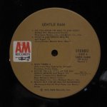 Sergio Mendes / Antonio Carlos Jobim / Bossa Rio / Tamba 4 / Walter Wanderley - Gentle Rain