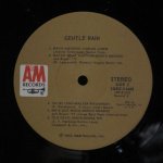 Sergio Mendes / Antonio Carlos Jobim / Bossa Rio / Tamba 4 / Walter Wanderley - Gentle Rain