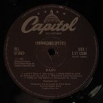 Klaatu - Endangered Species