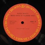Miles Davis - Black Beauty / Miles Davis At Fillmore West