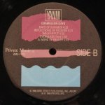 Yanni - Chameleon Days