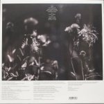 Anneli Drecker - Rocks & Straws