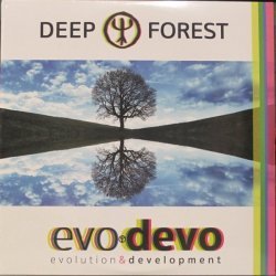 Deep Forest