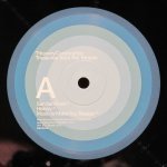 Thievery Corporation - Treasures From The Temple