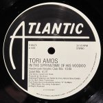 Tori Amos - In The Springtime Of His Voodoo