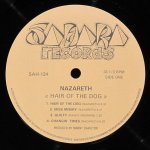 Nazareth - Hair Of The Dog