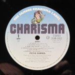 Peter Gabriel - Birdy