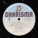 Peter Gabriel - Birdy