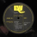 Masahiko Togashi - Spiritual Nature