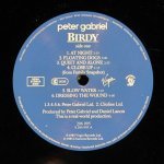 Peter Gabriel - Birdy