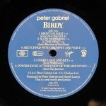 Peter Gabriel - Birdy